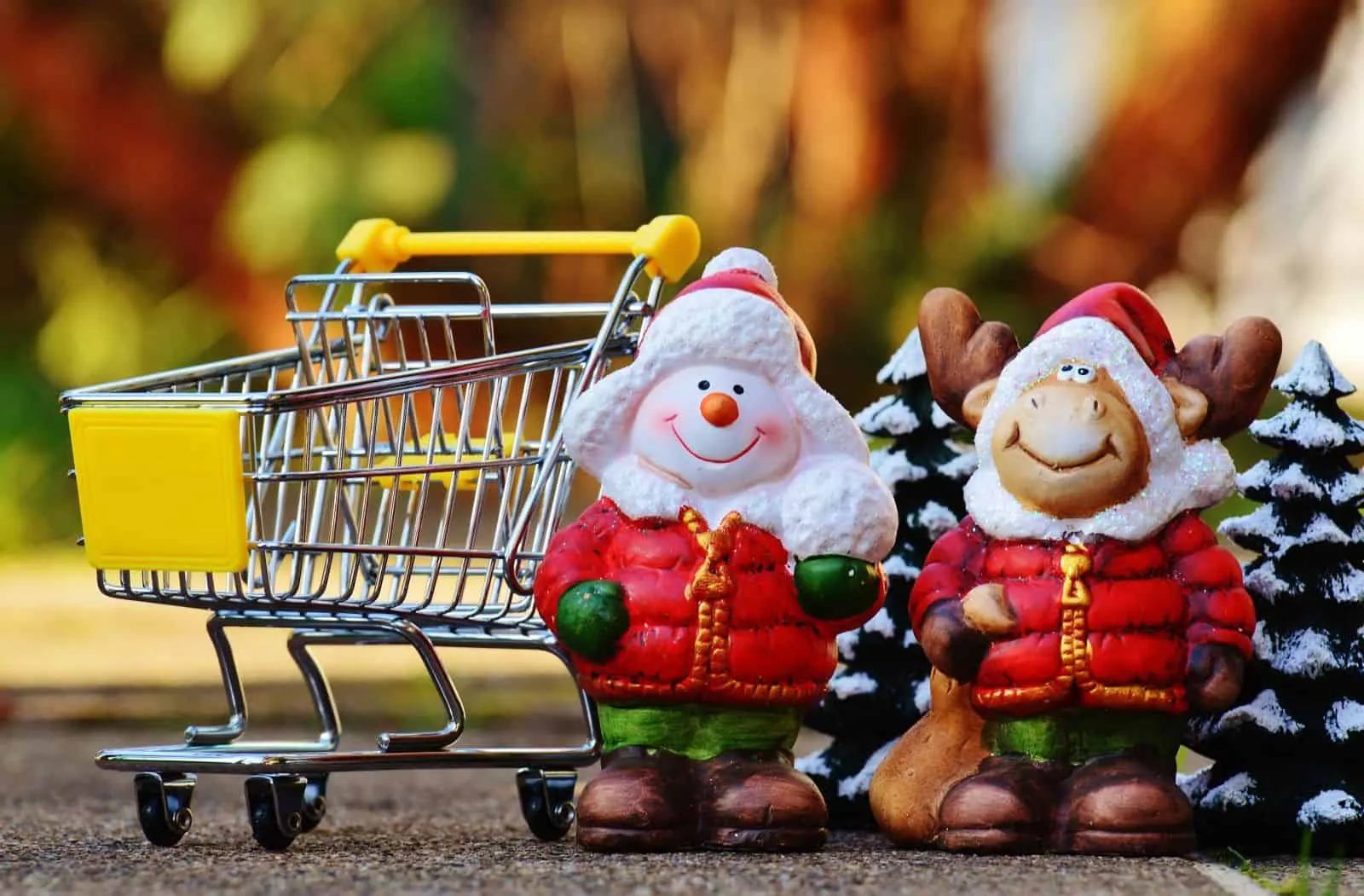 NEU: Online-Shop mit Profi-Fotos zum Fixpreis